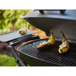 Weber Gasgrill Q 2200 Mit 1 Brenner Und Standgestell Schwarz -Landmann Verkäufe 2567618 A03