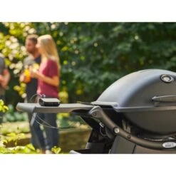 Weber Gasgrill Q 2200 Mit 1 Brenner Und Standgestell Schwarz -Landmann Verkäufe 2567618 AB01
