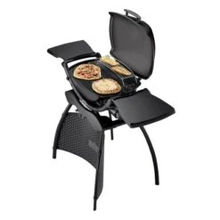Weber Gasgrill Q 2200 Mit 1 Brenner Und Standgestell Schwarz -Landmann Verkäufe 2567618 S02