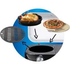 Campingaz Gas-Tischgrill Attitude 2100 LX -Landmann Verkäufe 26 CulinaryModularAttitude