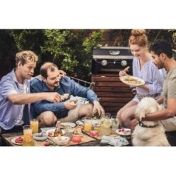 Campingaz Gas-Tischgrill Attitude 2100 LX -Landmann Verkäufe 9519026 2119 4